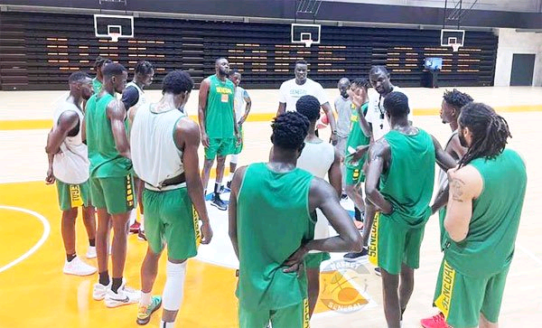 Sport Afro basket 2021 : Cheikh Sarr retrouve les lions !